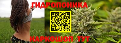 ECSTASY Кандалакша