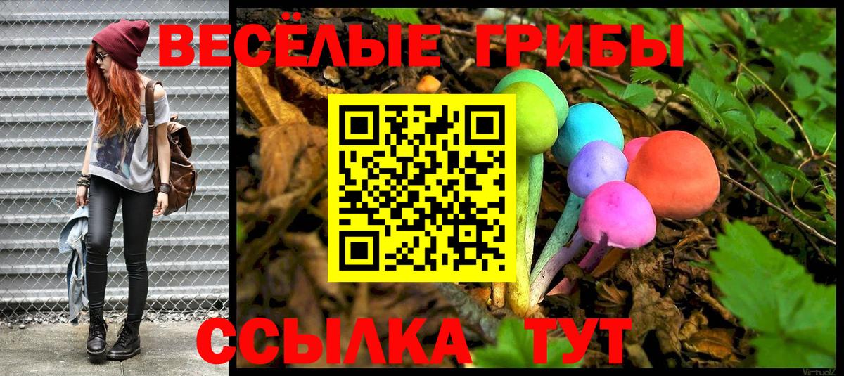 как найти закладки  Вход с VPN  Керчь  Псилоцибиновые грибы мицелий 
