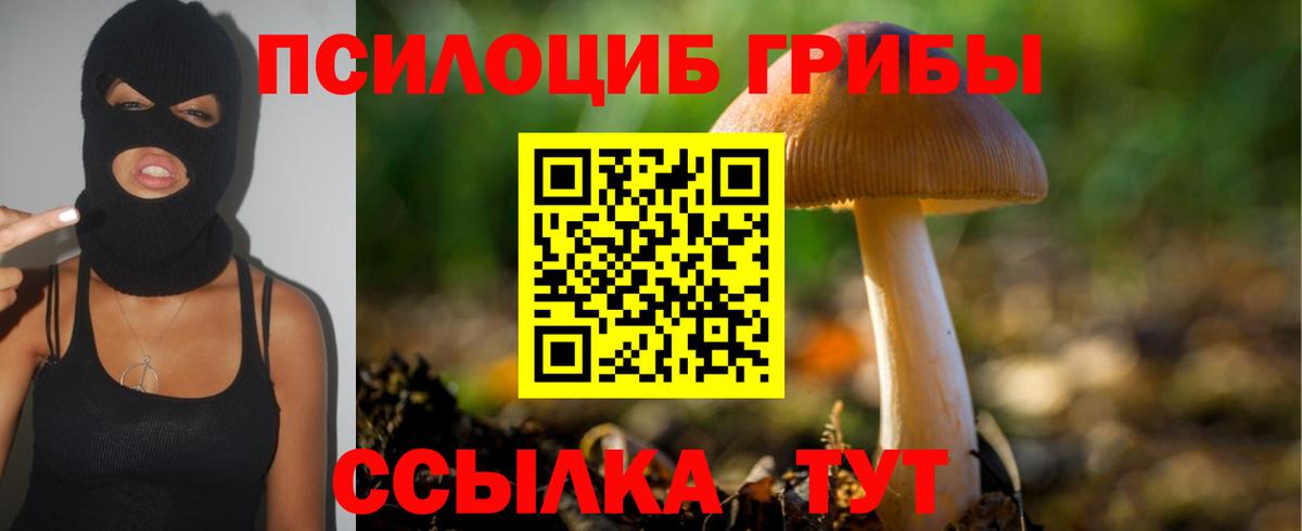 Галлюциногенные грибы MAGIC MUSHROOMS Керчь
